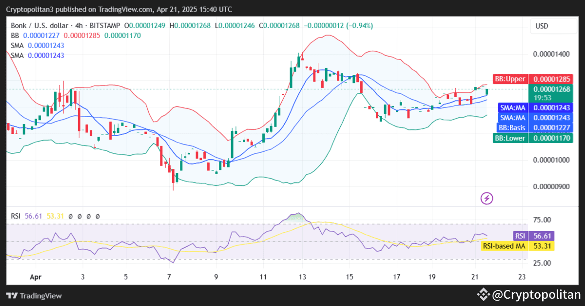 BONK/USD 4-hour price chart