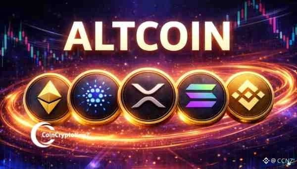 Altcoin Market Strength Holds as TOTAL3 Stays Bullish