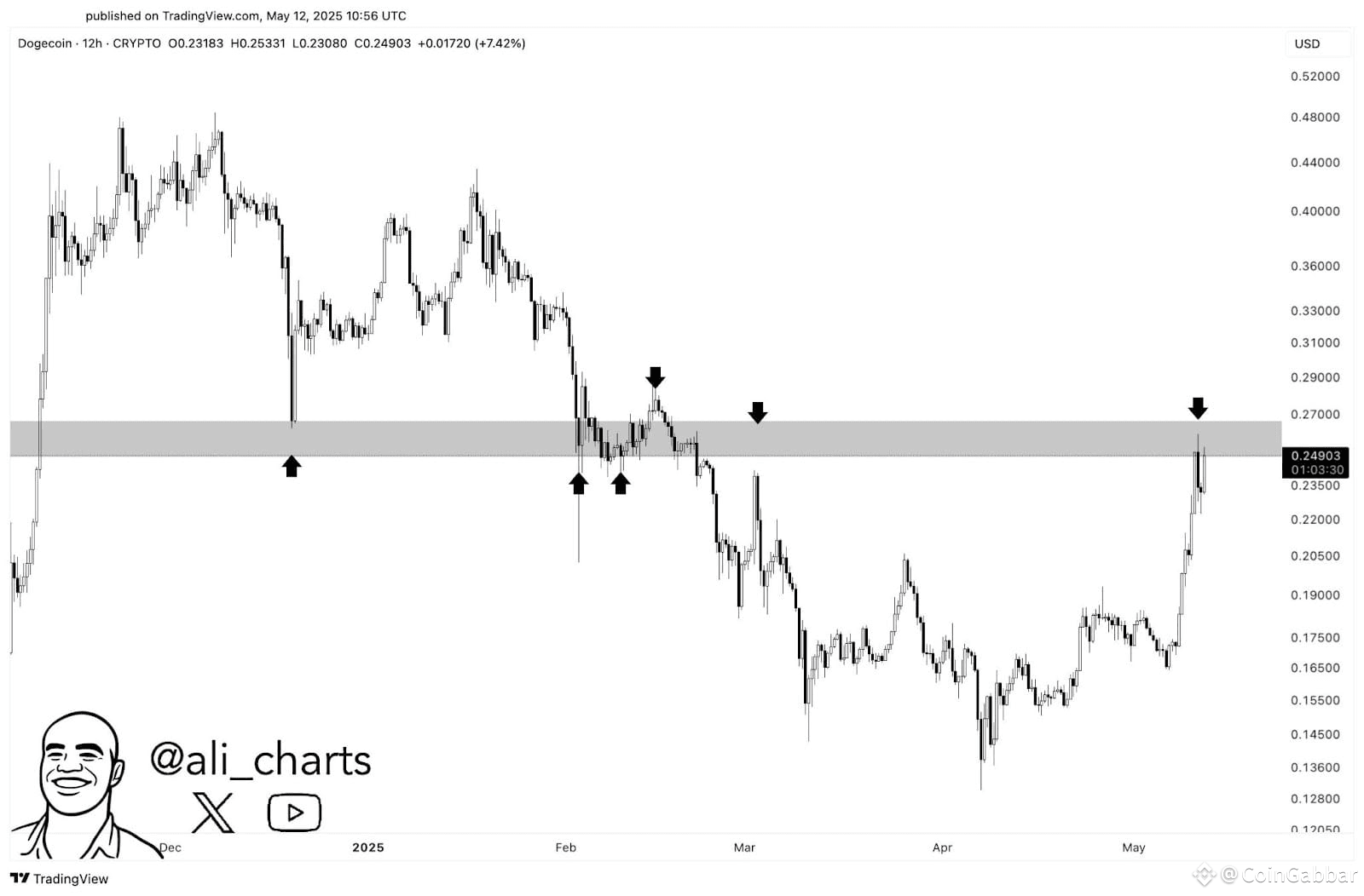 Dogecoin 