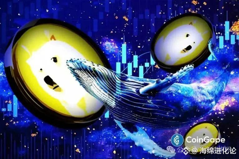 专家称，3.1亿鲸鱼疯狂购买，DOGE价格将迎来下一轮上涨
