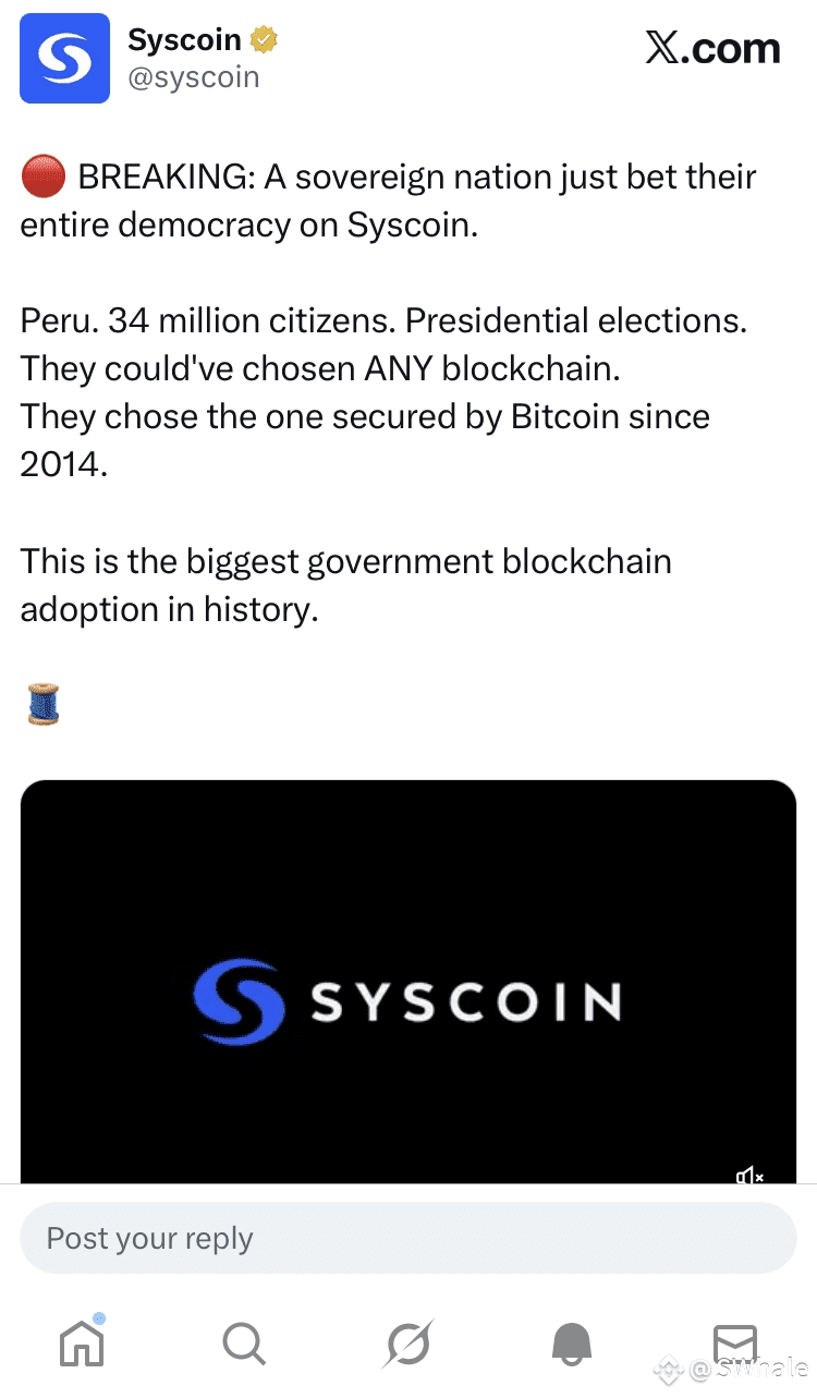 Latest #syscoin News, Opinions and Feed Today | Binance Square