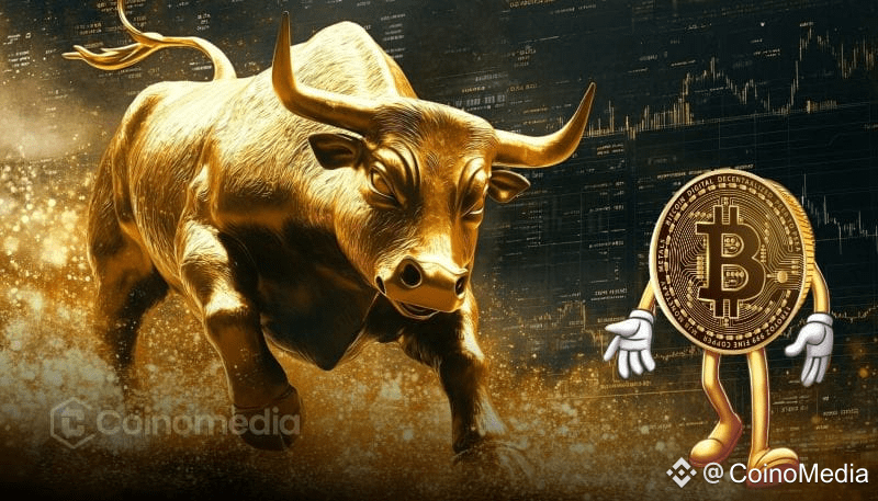 Bitcoin Peak Signal Absent: Bull Run Still Young