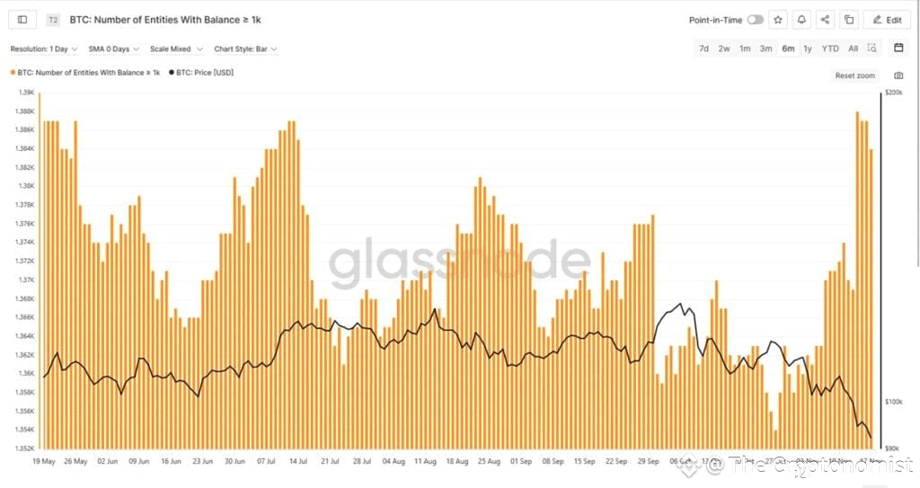 Whales vs Retail Investors
