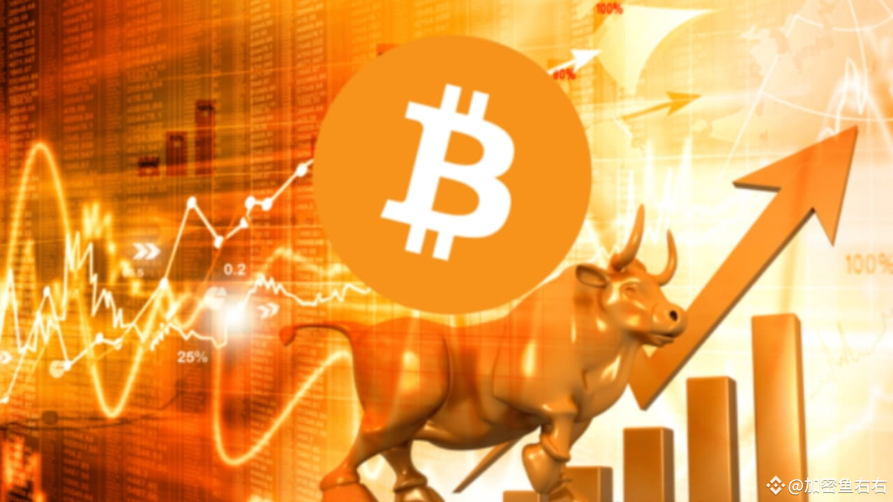 The trend of Bitcoin and Ethereum slowed down, while the prices of Wif ...