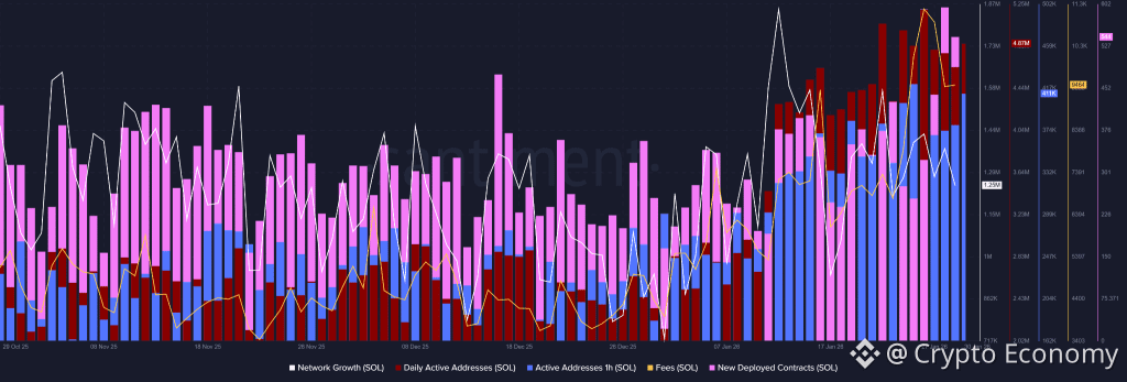 Solana Price Analysis Shows its at Make-or-Break Zone Near $115: Is This the Final Shakeout Before Recovery or a Structural Breakdown?