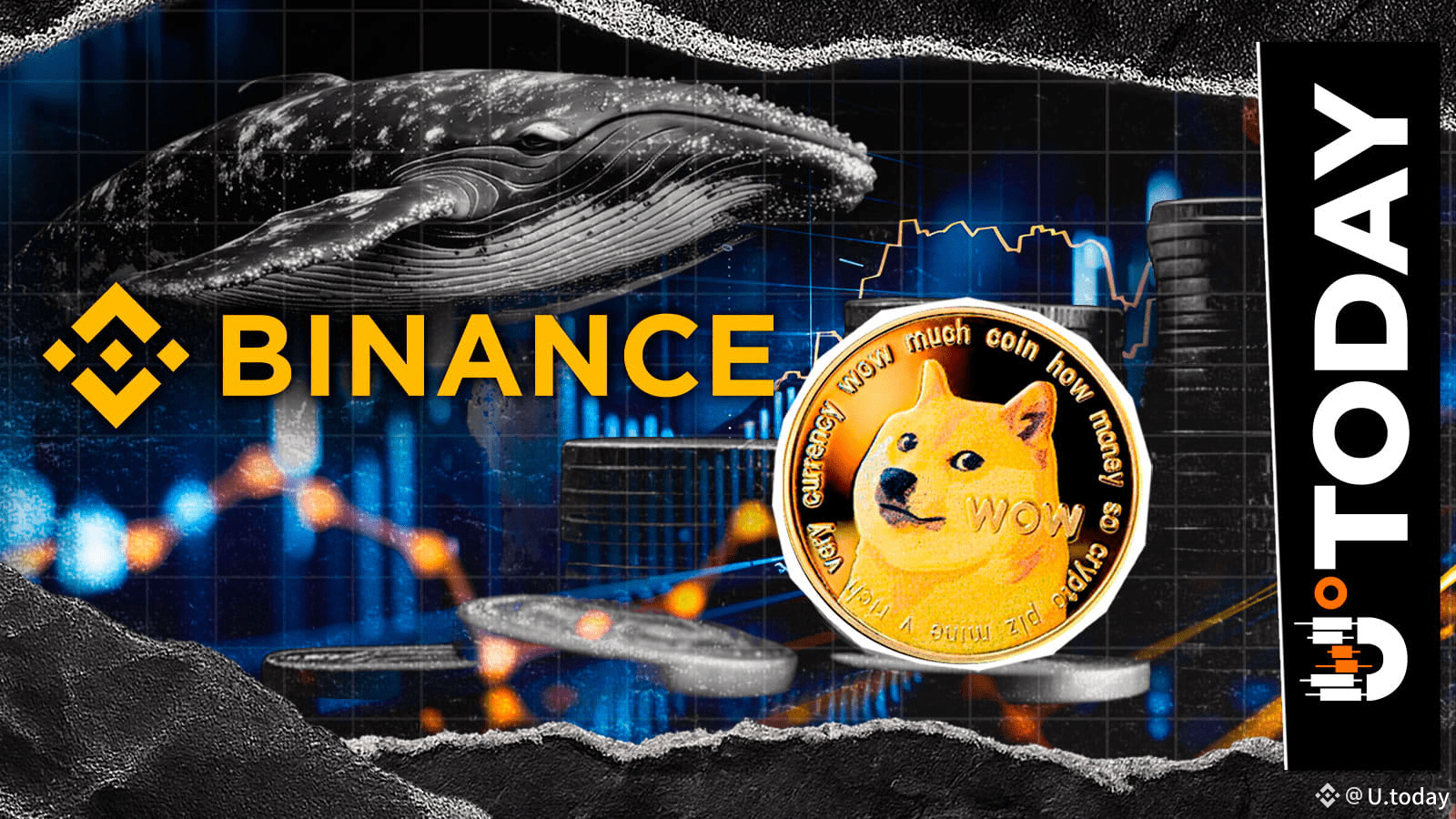 Mysterious Dogecoin Whale Reactivates With 15 Million DOGE Withdrawal From  Binance | U.today on Binance Square