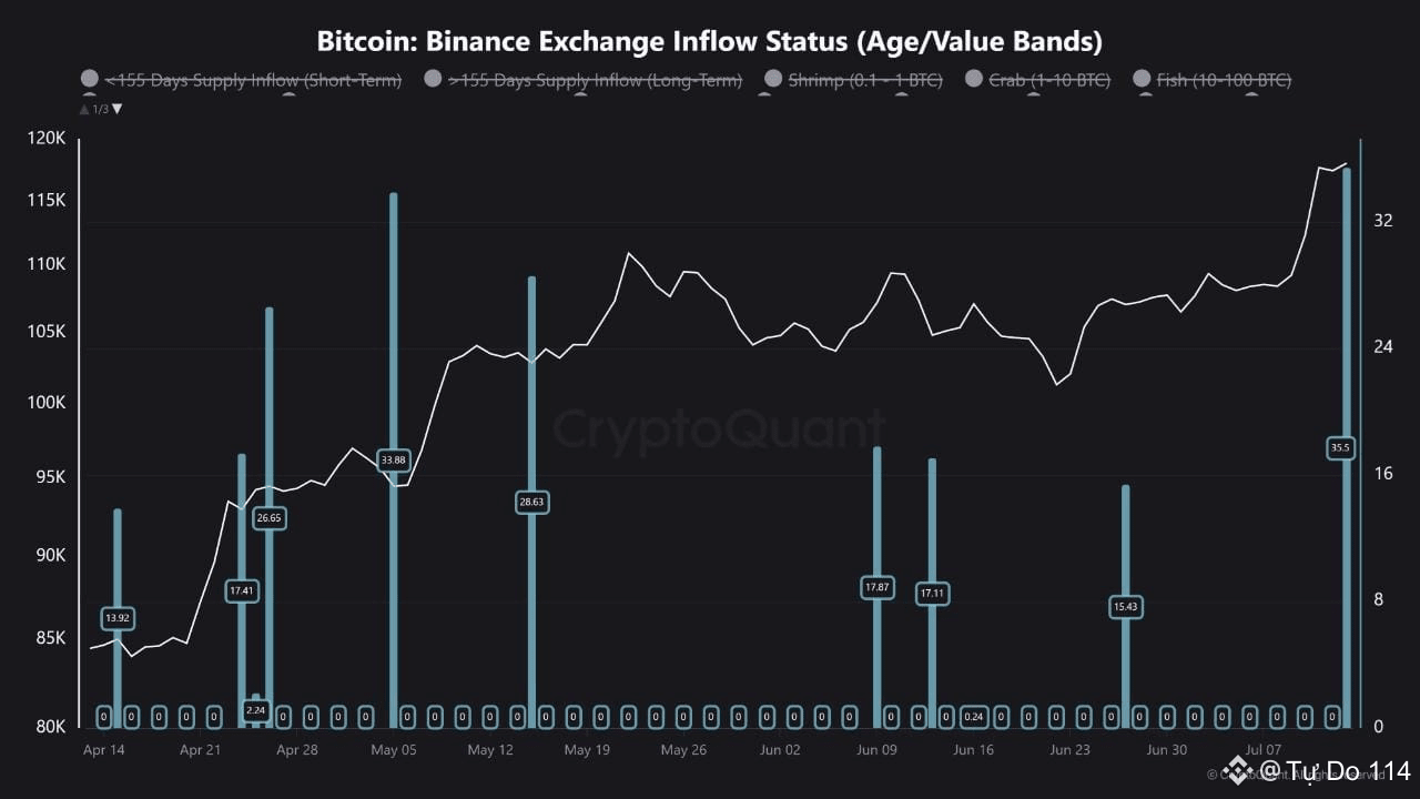 Binance Exchange Inflow Status. Source: CryptoQuant.