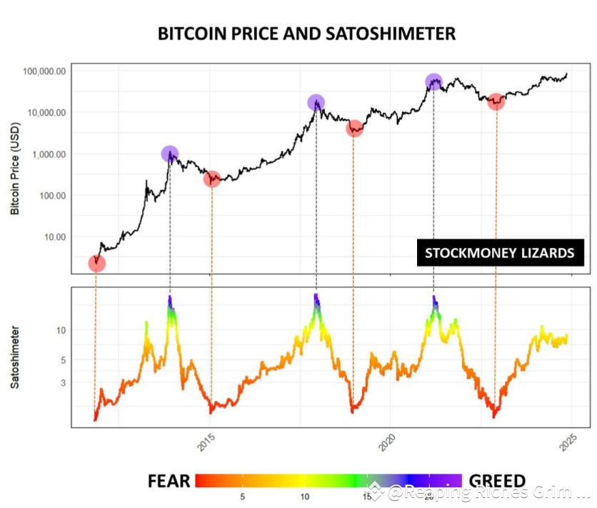 📊 Bitcoin Update with Satoshimeter Analysis The chart | Reaping Riches ...