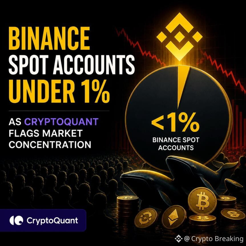 Binance Spot Accounts Under 1% As Cryptoquant Flags Market Concentration