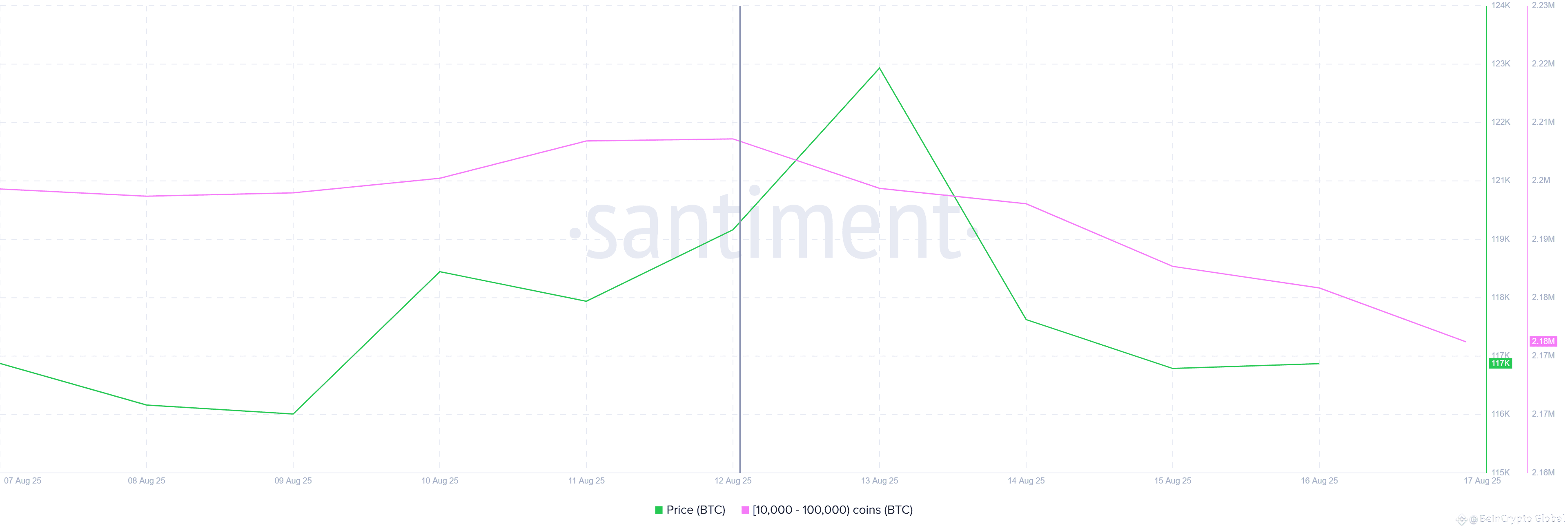 Bitcoin Whale Holding