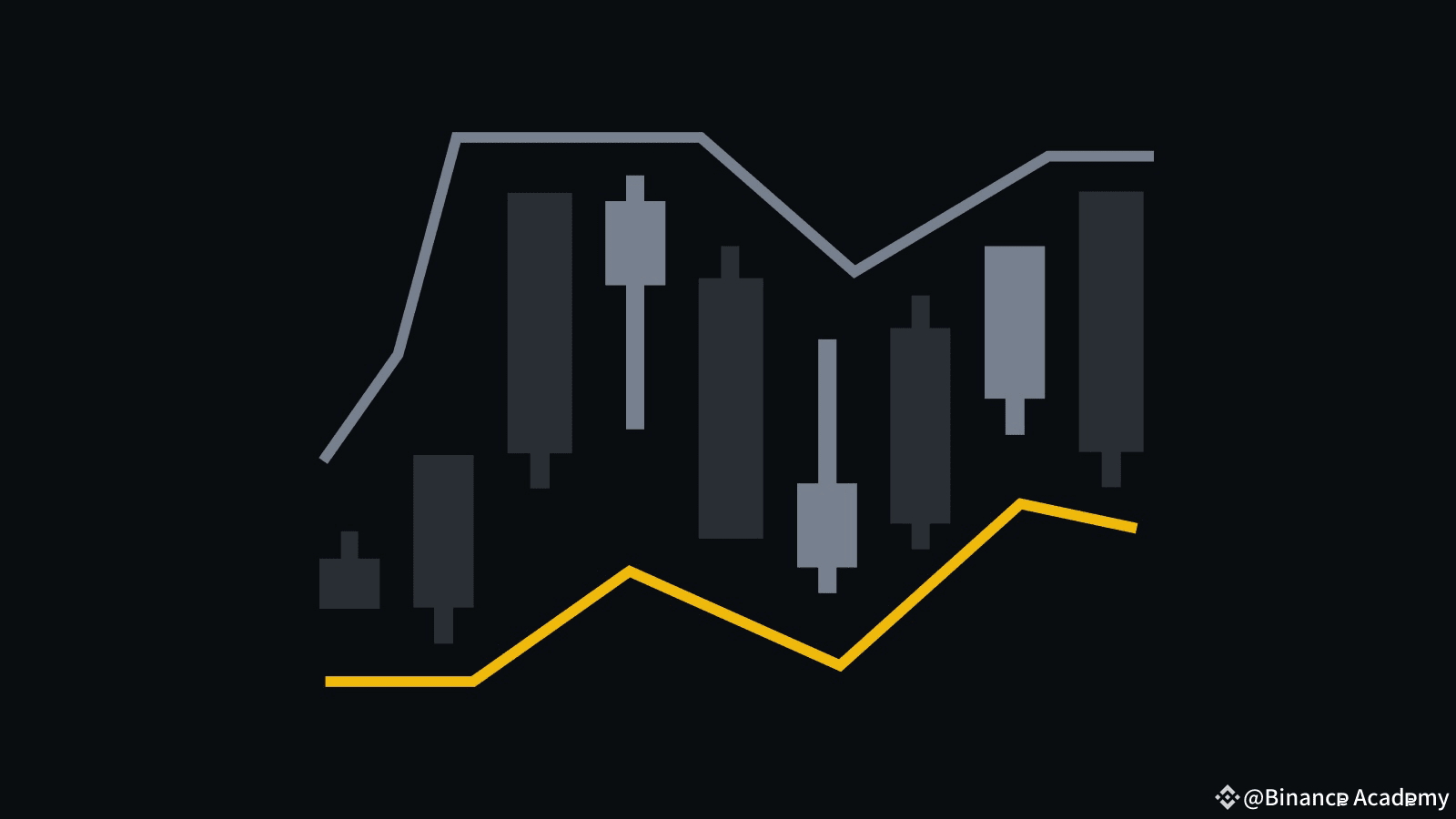 数字货币日内交易与持有：哪种策略适合你？ | Binance Academy发布于币安广场