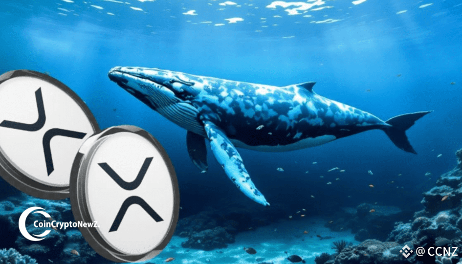 Whales Scoop Up 2.20B XRP as Price Hits $3.13 in July
