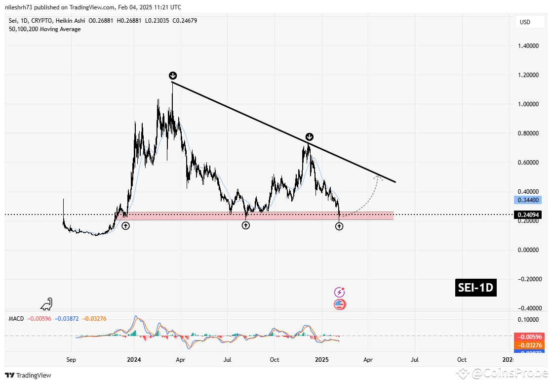 SEI and EGLD Hold Major Support Levels Amid Significant Correction: Is a  Bounceback Ahead? | CoinsProbe on Binance Square