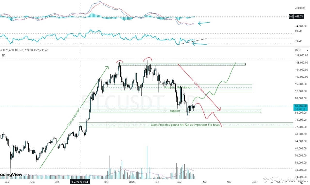 Bitcoin Next Leg – Trend Continuation or Reversal at $80K? | Official  CryptoPatel on Binance Square