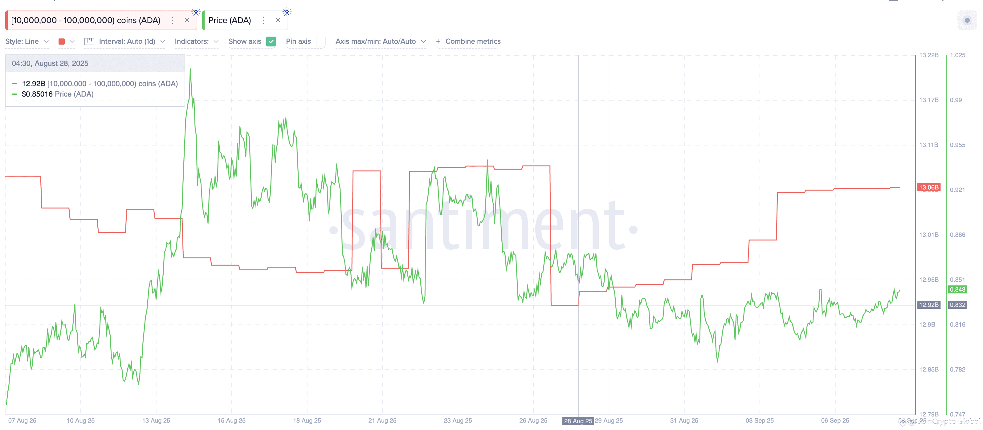 Cardano Whales