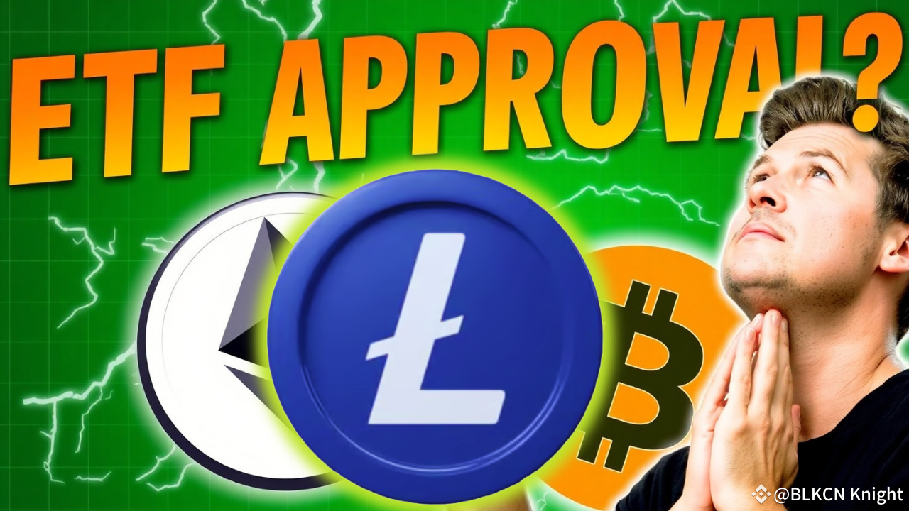 🔥How did Paul Le Roux amass $64 billion in Bitcoin 🔥 Paul | BLKCN Knight  on Binance Square