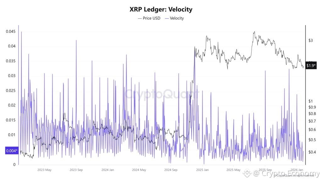 XRPs-network-velocity-spiked-40-in-24-hours-signaling-renewed-on-chain-activity