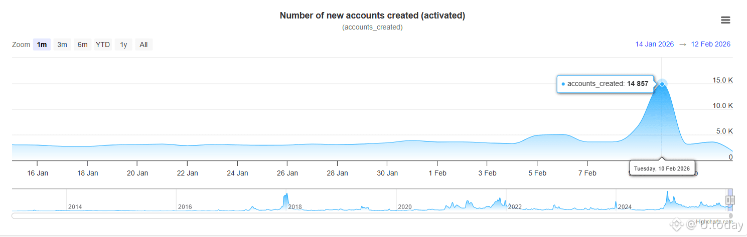 XRP Ledger Data
