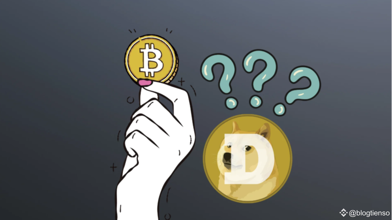 Bitcoin Strategic Reserve? Why Not a Dogecoin Reserve, Says Co-Founder |  blogtienso on Binance Square