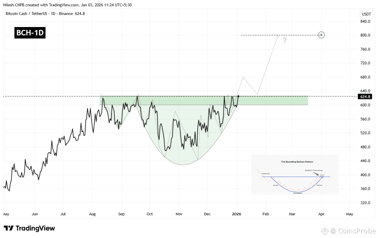 Is Bitcoin Cash (BCH) Poised for a Bullish Breakout? This Key Pattern  Formation Suggests So! | CoinsProbe on Binance Square