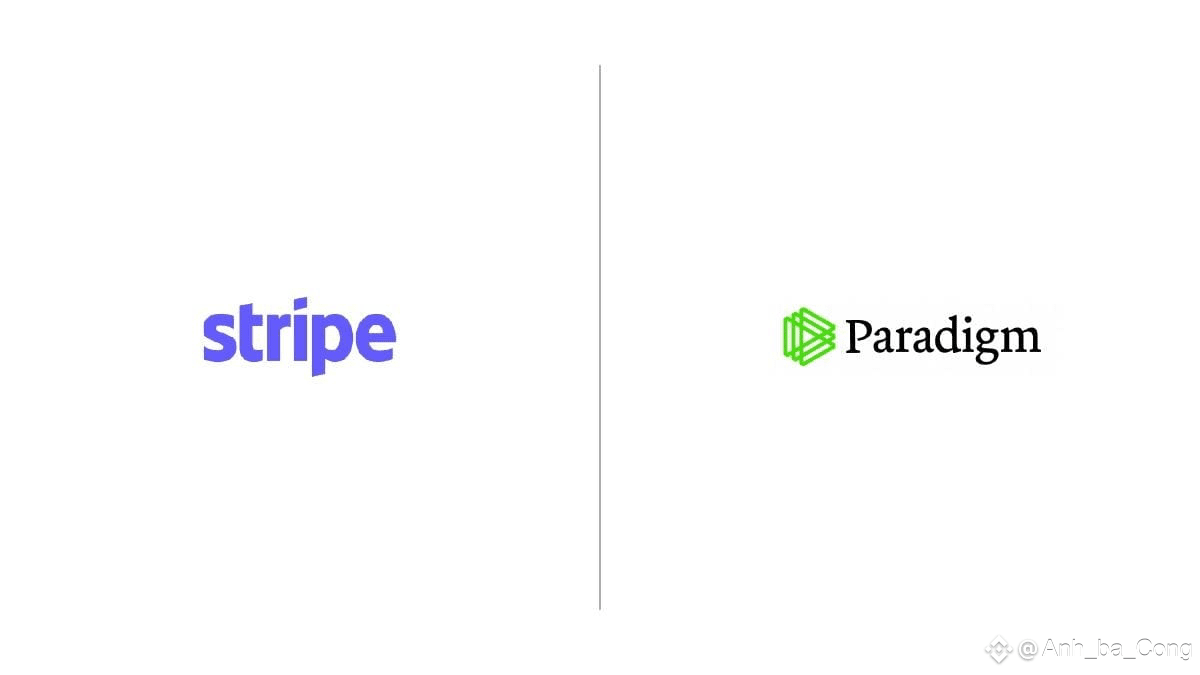 Latest #tempo News, Opinions and Feed Today | Binance Square