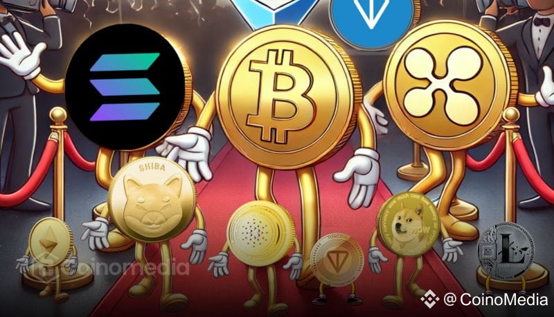 Altseason Indicator Signals Incoming Capital Rotation