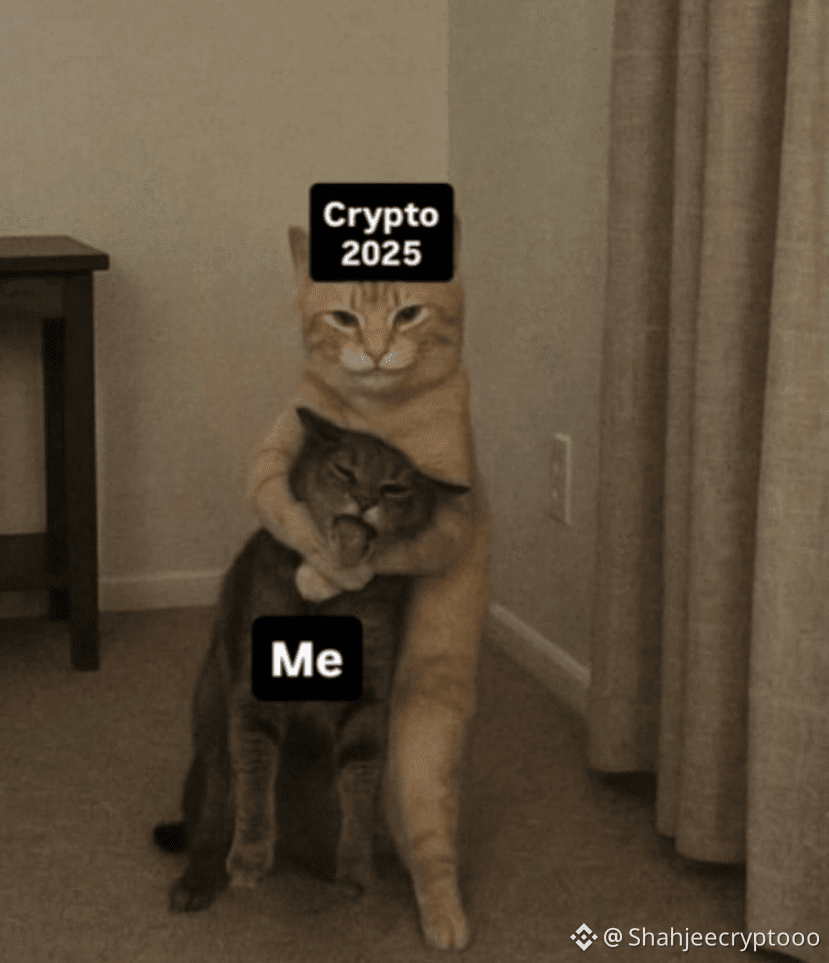 This is the best and cutest recap of 2025. 1. $RVV 2. $B3 | Shahjeecryptooo  on Binance Square