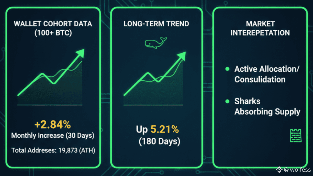 Latest #cmc News, Opinions and Feed Today | Binance Square