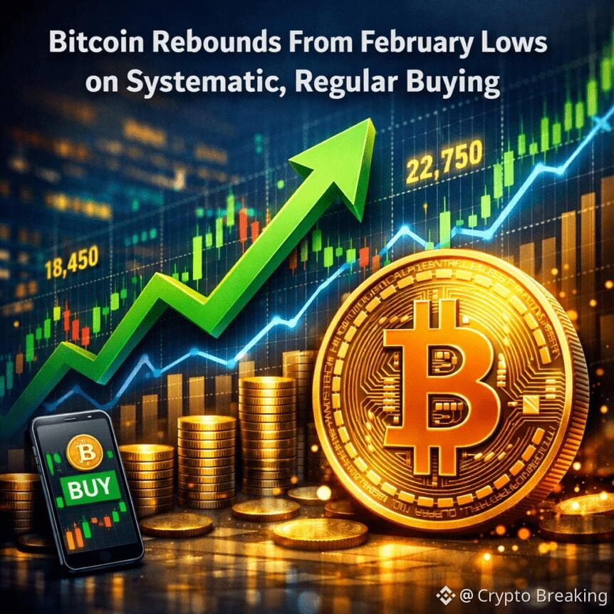 Bitcoin Rebounds From February Lows On Systematic, Regular Buying