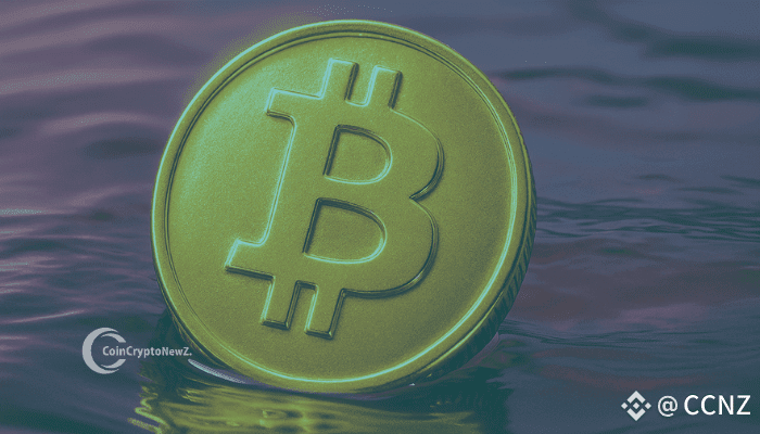Bitcoin Price Analysis: Bulls Face $117K Resistance Test
