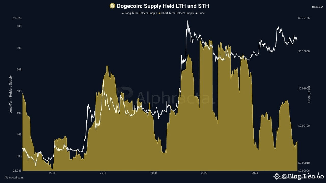 Nguồn cung Dogecoin do STH nắm giữ. Nguồn: Alphractal