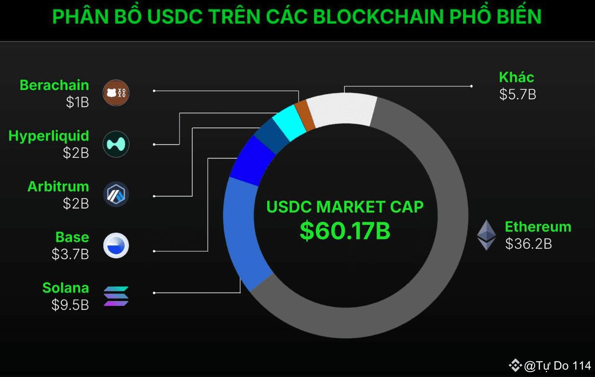 Distribution of $USDC on popular blockchains The total | Tự Do 114 on  Binance Square