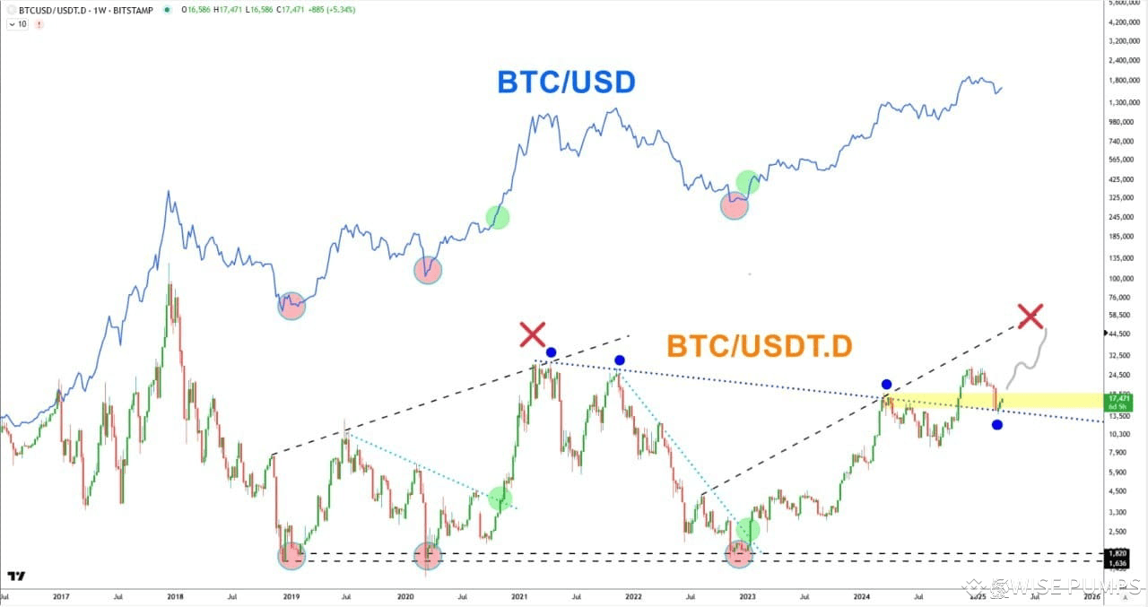 This chart compares Bitcoin ($BTC /USD) with BTC/USDT domina | WISE PUMPS  on Binance Square