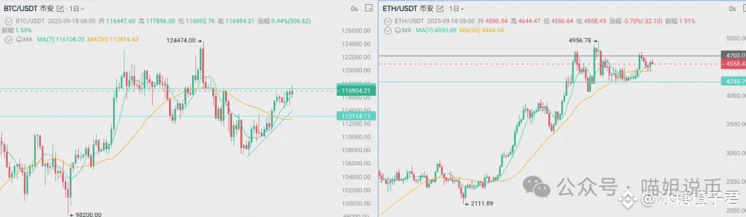 降息“大泵”来了？BNB历史性冲关，TRB 13%战绩？AVAX、PEPE、XRP等代币全攻略，教你抓住下一波主升浪！