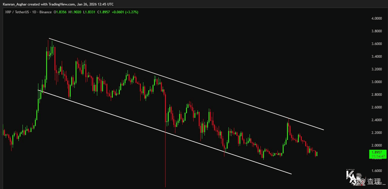 ripple💰 関連最新ニュース、オピニオン、今日のフィード | Binance Square