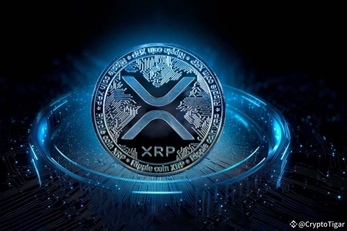 Ist XRP (Ripple) eine gute Investition? #XRPGoal Ripple- | CryptoTigar auf  Binance Square