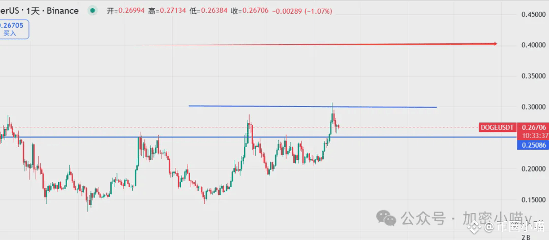 决战降息夜？比特币暴涨还是血洗？巨鲸80亿狂扫DOGE，币安系全线异动！山寨要稳不住了？代币全攻略来了