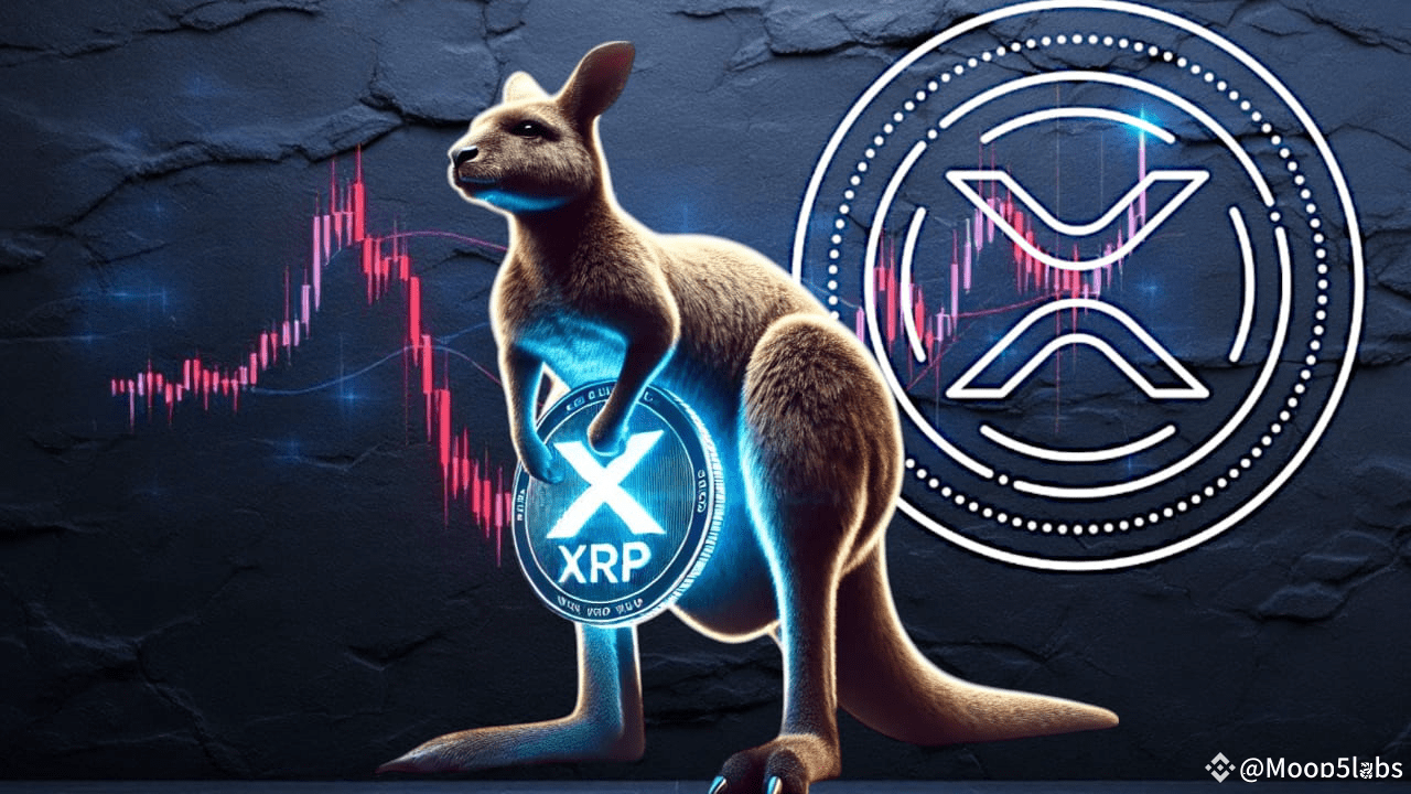 XRP kangaroo phase chart showing consolidation before a major price breakout.