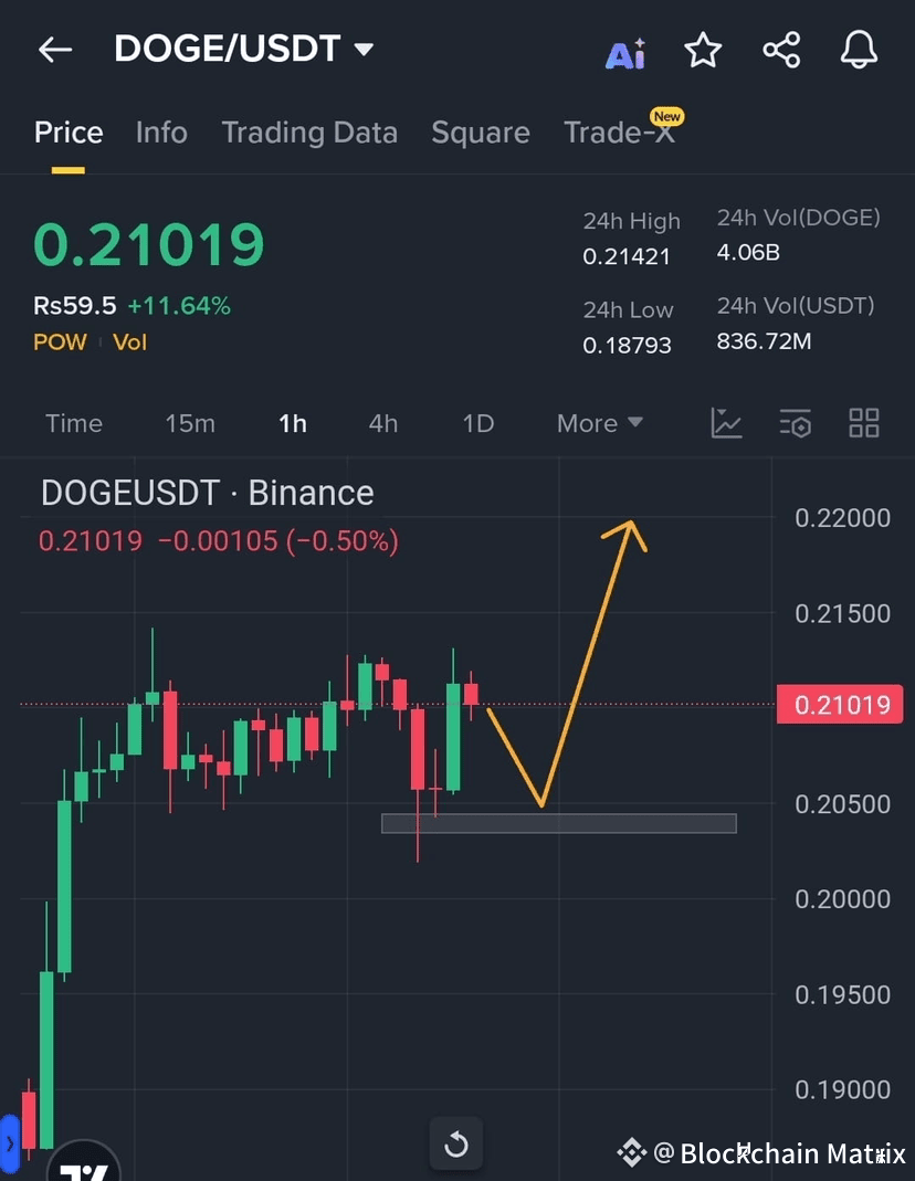 $DOGE – READY TO BOUNCE BACK?🐶🔥 After a solid +11% | Blockchain Matrix ...