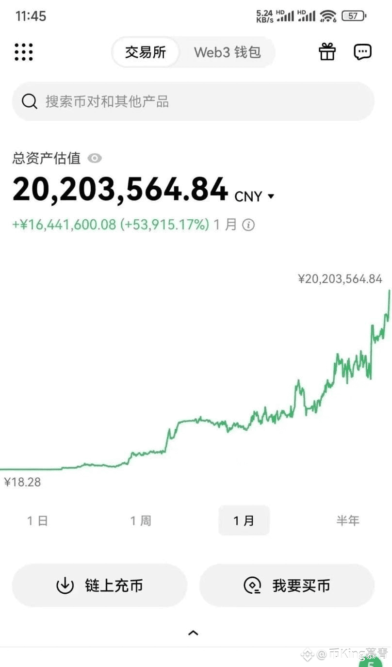 一年内用1万通过炒币赚到100万，只有这一种方法可以做到：那就是滚仓+大牛山寨囤币！ | 优先生币圈на Binance