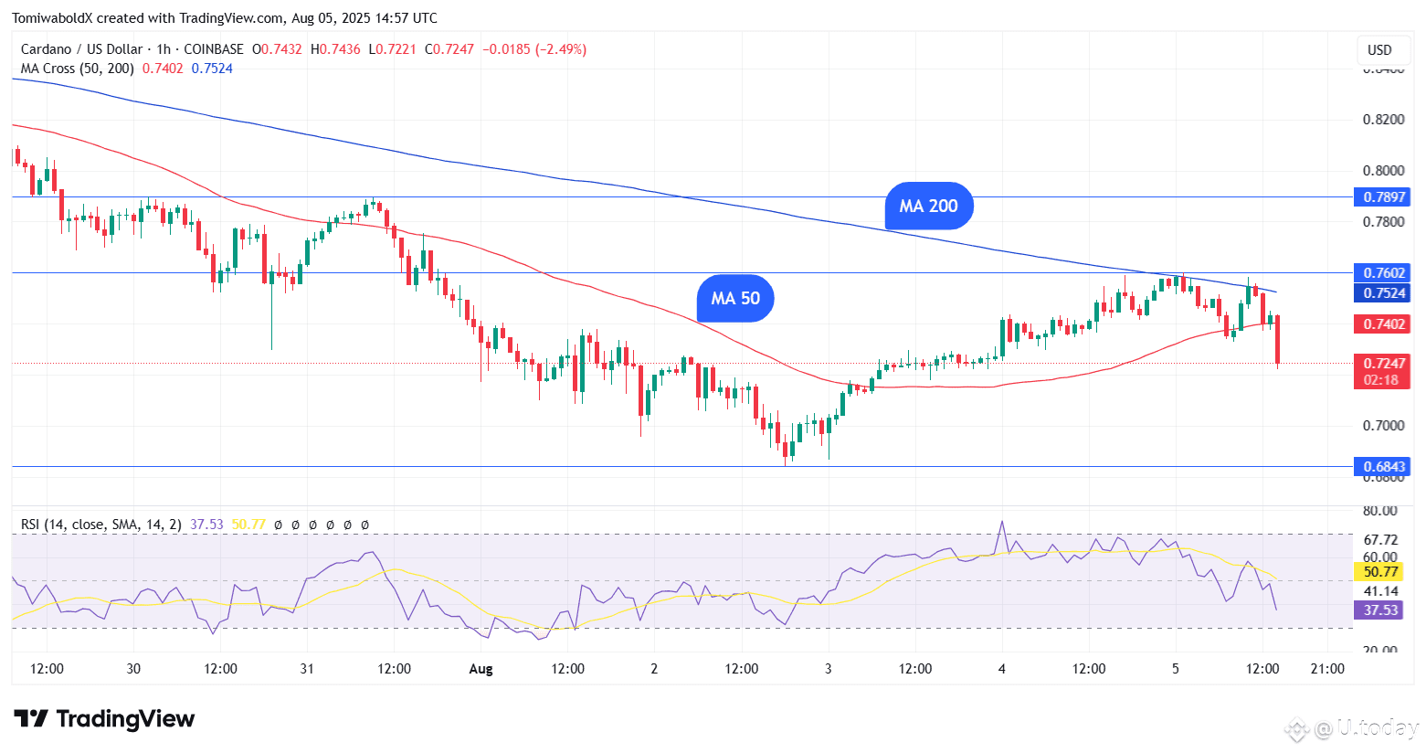  TradingView