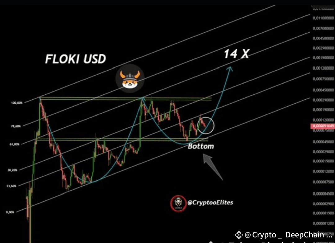 🔥 $FLOKI 正好位于底部区域– 最强的入场点! 📉➡️📈 $FLOKI 这个设置目标是14倍的上涨🚀 | Blockchain  Insider发布于币安广场