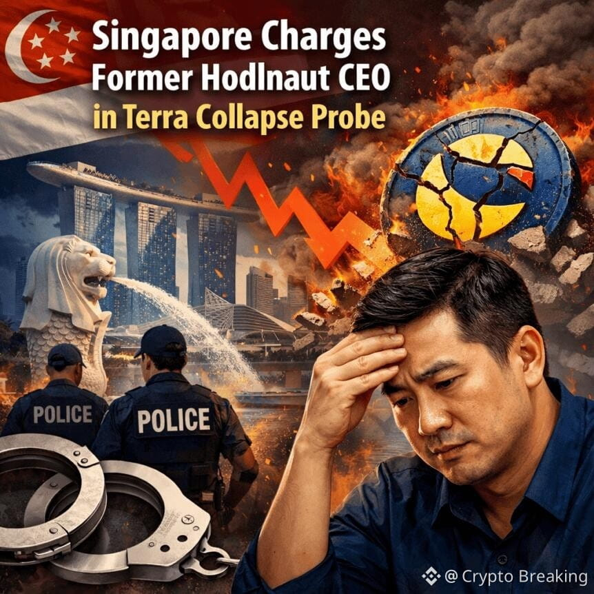 Singapore Charges Former Hodlnaut Ceo In Terra Collapse Probe