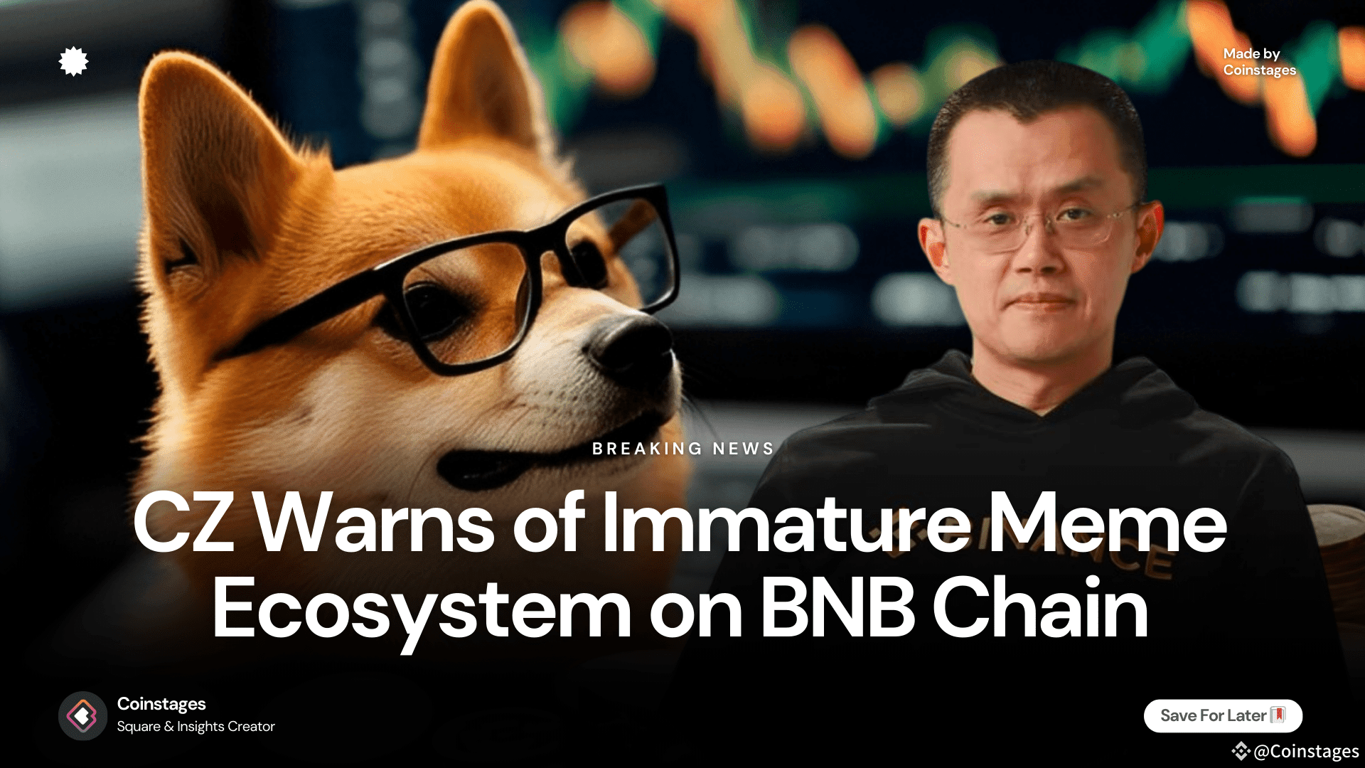 CZ Warns BNB Chain Meme Ecosystem is Immature, Advises Caution in Trading  Meme Coins | Coinstages on Binance Square
