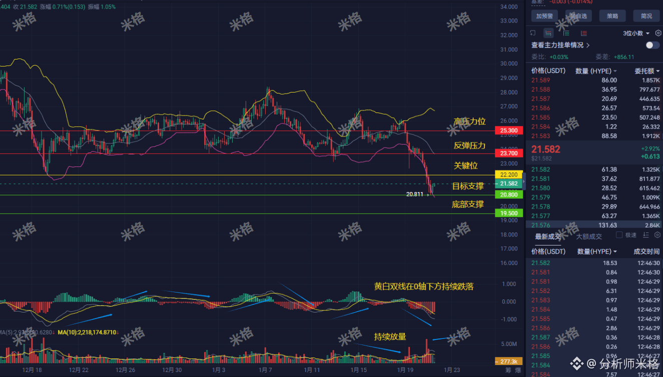 巨鲸尸横遍野！HYPE一夜爆仓超4000万！链上惊现“死亡螺旋”预警，20.3美元是最后防线？散户速看米格残酷推演！ | 分析师米格