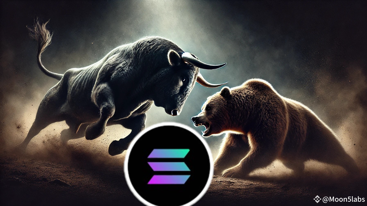 Can solana break 260 again whale support might not be enough