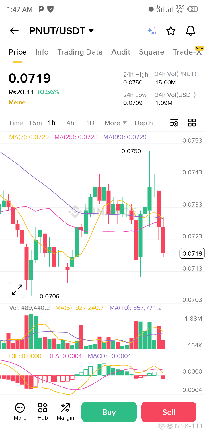 Latest #pnut News, Opinions and Feed Today | Binance Square