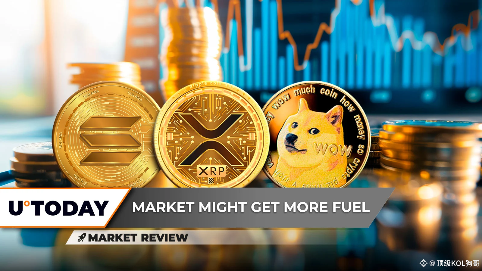 解析2025 百倍币的潜在机遇| 顶级KOL狗哥发布于币安广场