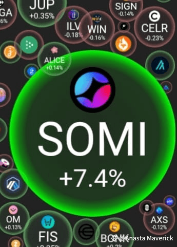$SOMI – The Hidden Gem of Crypto! $SOMI While the market Anasta