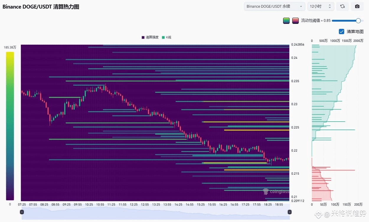 惊天逆转还是死猫反弹？DOGE关键位0.228决战夜，百亿清算压境下马斯克概念币能否绝地反击？ | 分析师米格sur Binance Square